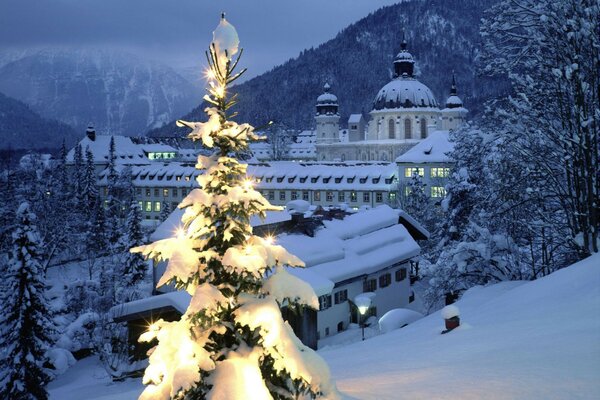 Albero di Natale nella neve