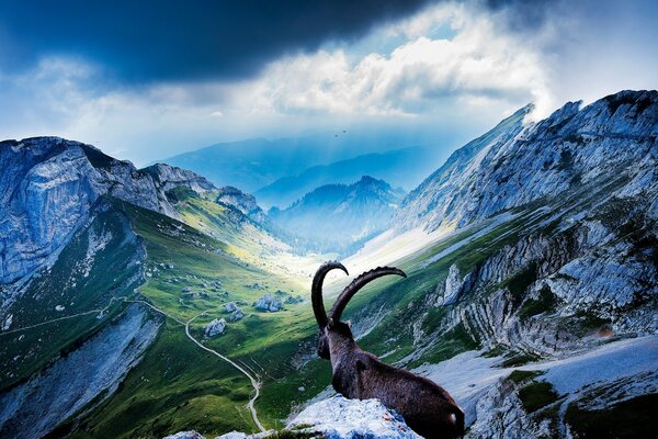 Berglandschaft Tour an der Spitze