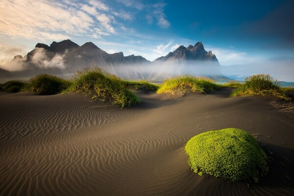 Foggy haze on the sandy coast