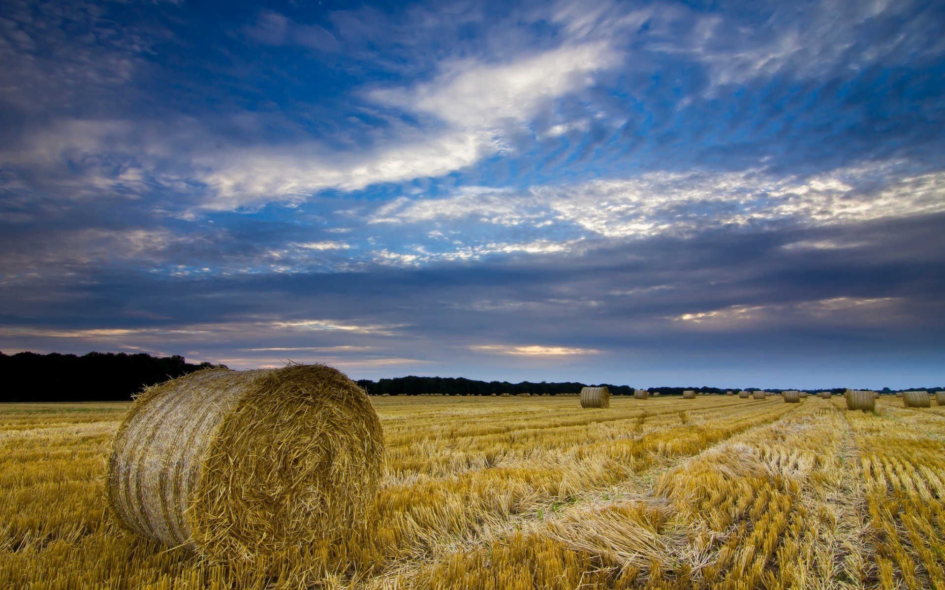 paisagens trigo agricultura pasto paisagem palha fazenda feno rural flocos céu campo colheita terra cultivada ao ar livre milho ouro natureza luz do dia campos