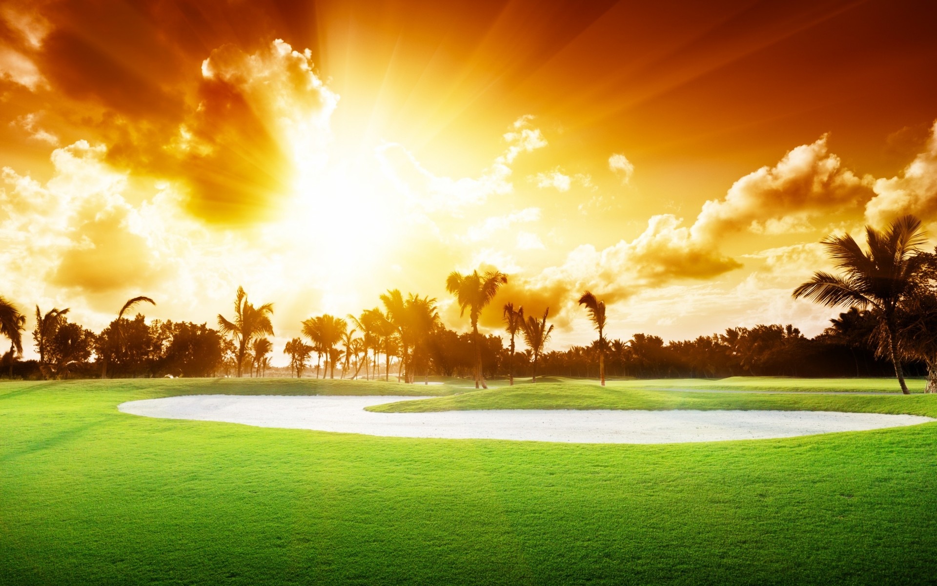 paisaje golf hierba sol paisaje naturaleza puesta de sol amanecer cielo árbol verano césped buen tiempo heno nube brillante oro campo sol palmeras