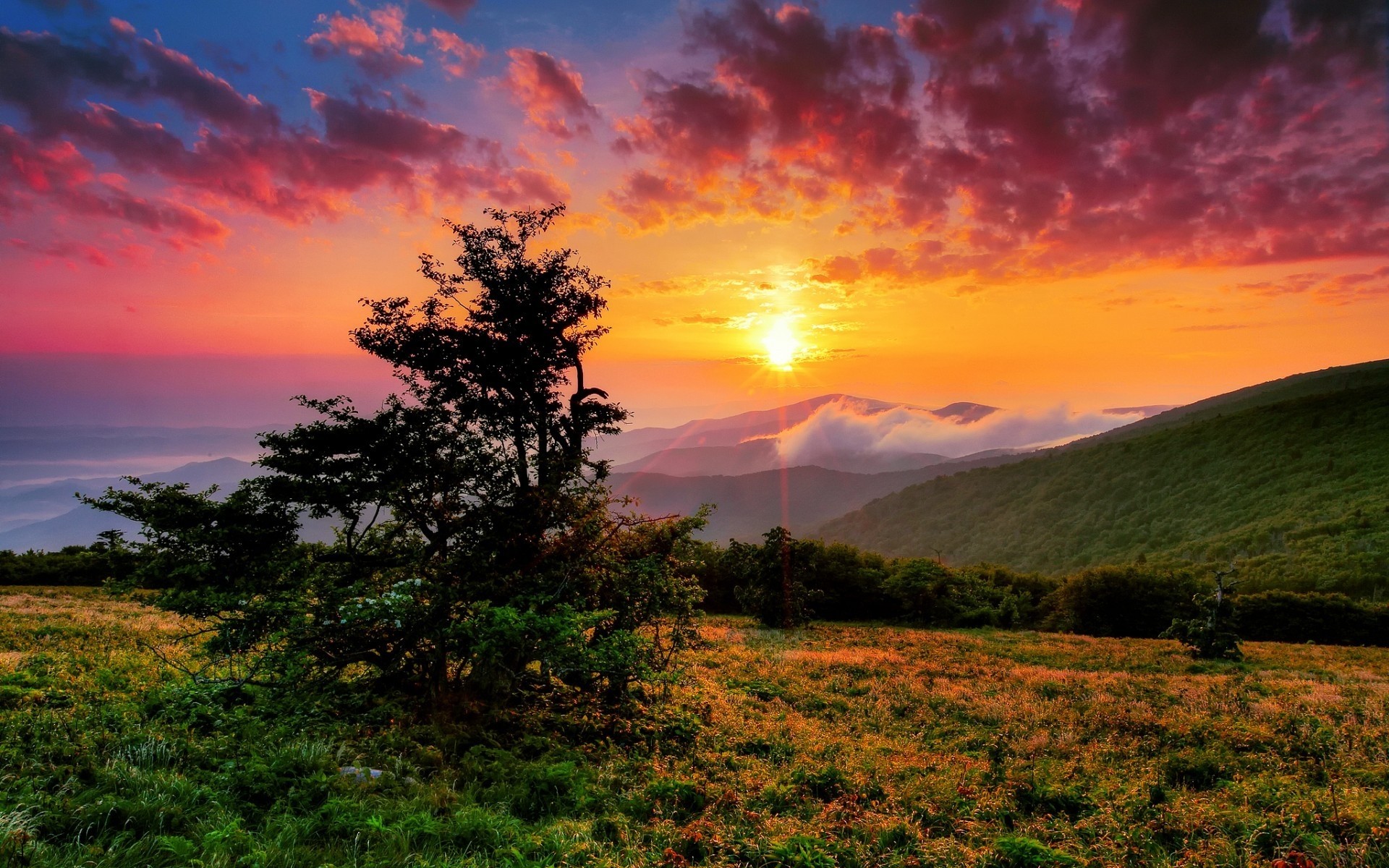 united states sunset landscape nature dawn sun sky evening tree dusk fair weather summer light outdoors us