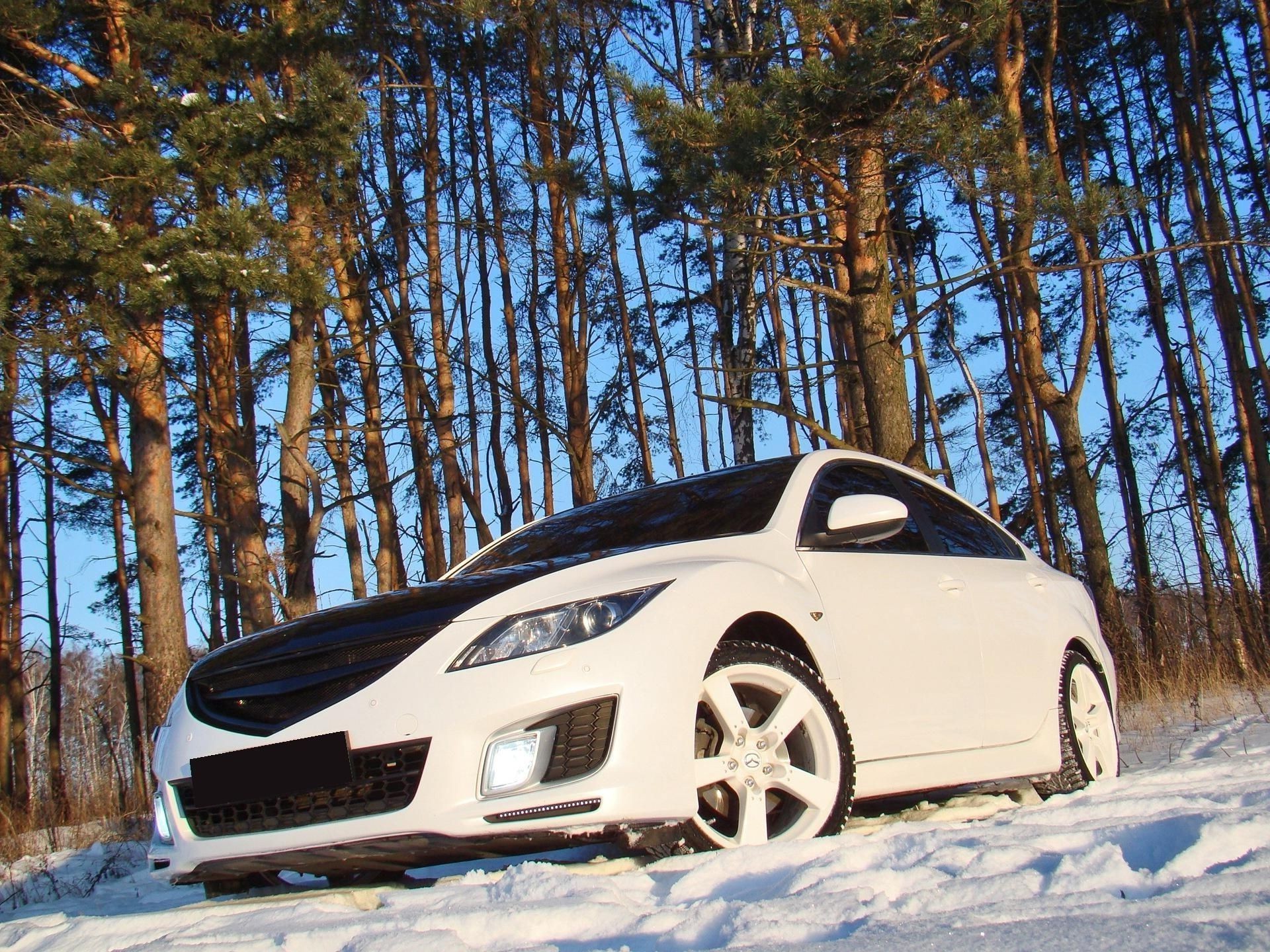 coches deportivos invierno nieve coche árbol frío coche escarcha hielo paisaje viajes congelado madera tiempo