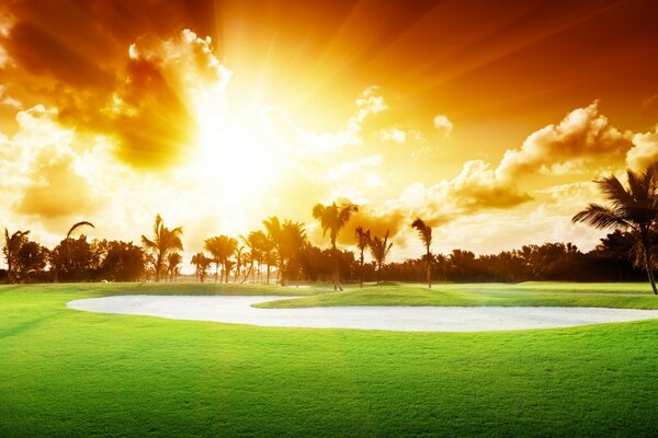 Morgenlandschaft auf dem Golfplatz