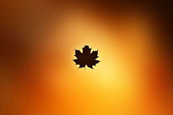 Maple leaf covers the sun