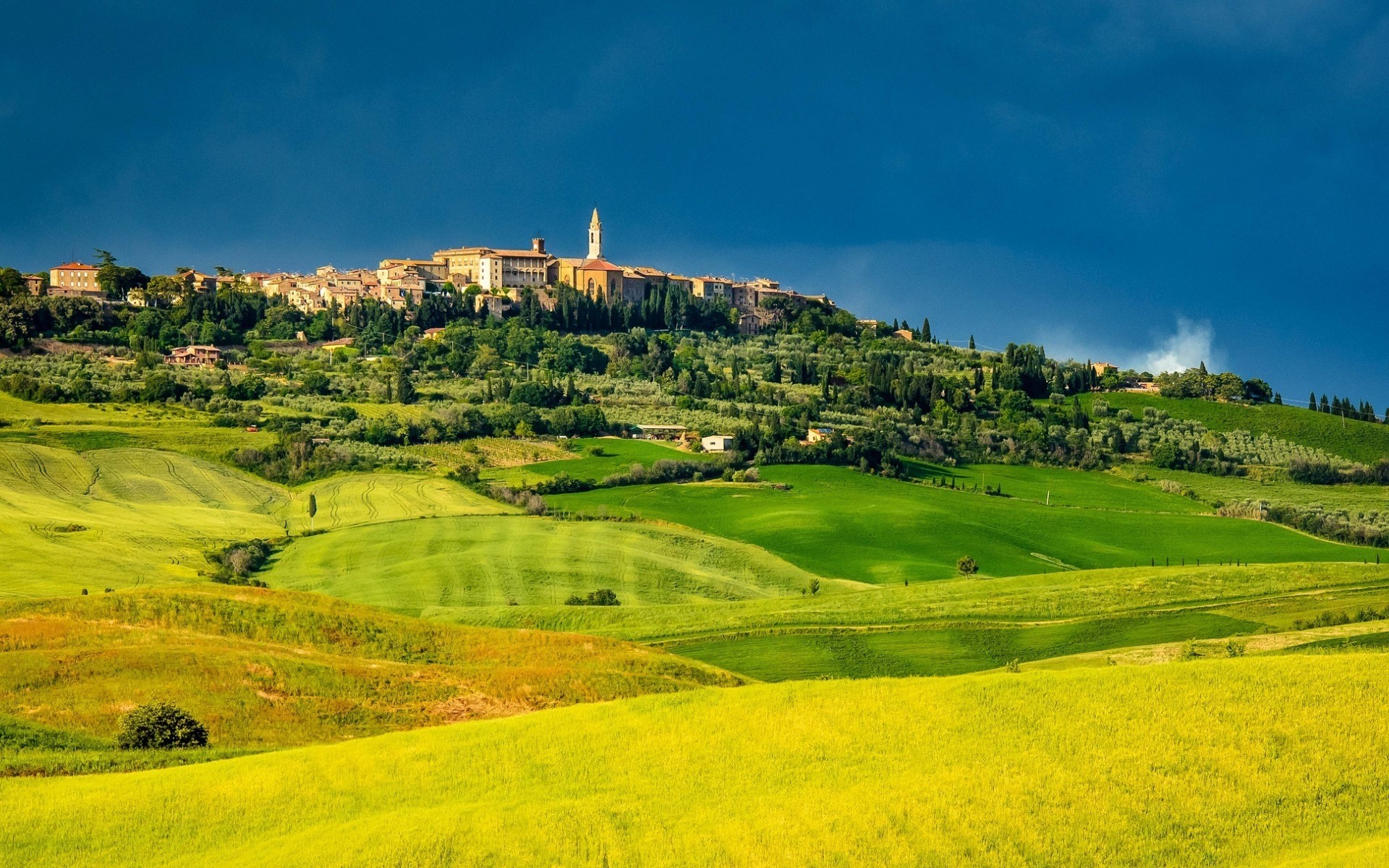 italia paisaje agricultura naturaleza campo rural tierra cultivada al aire libre cielo hierba verano campo pintoresco árbol colina idilio pasto viajes granja luz del día pienza toscana colinas