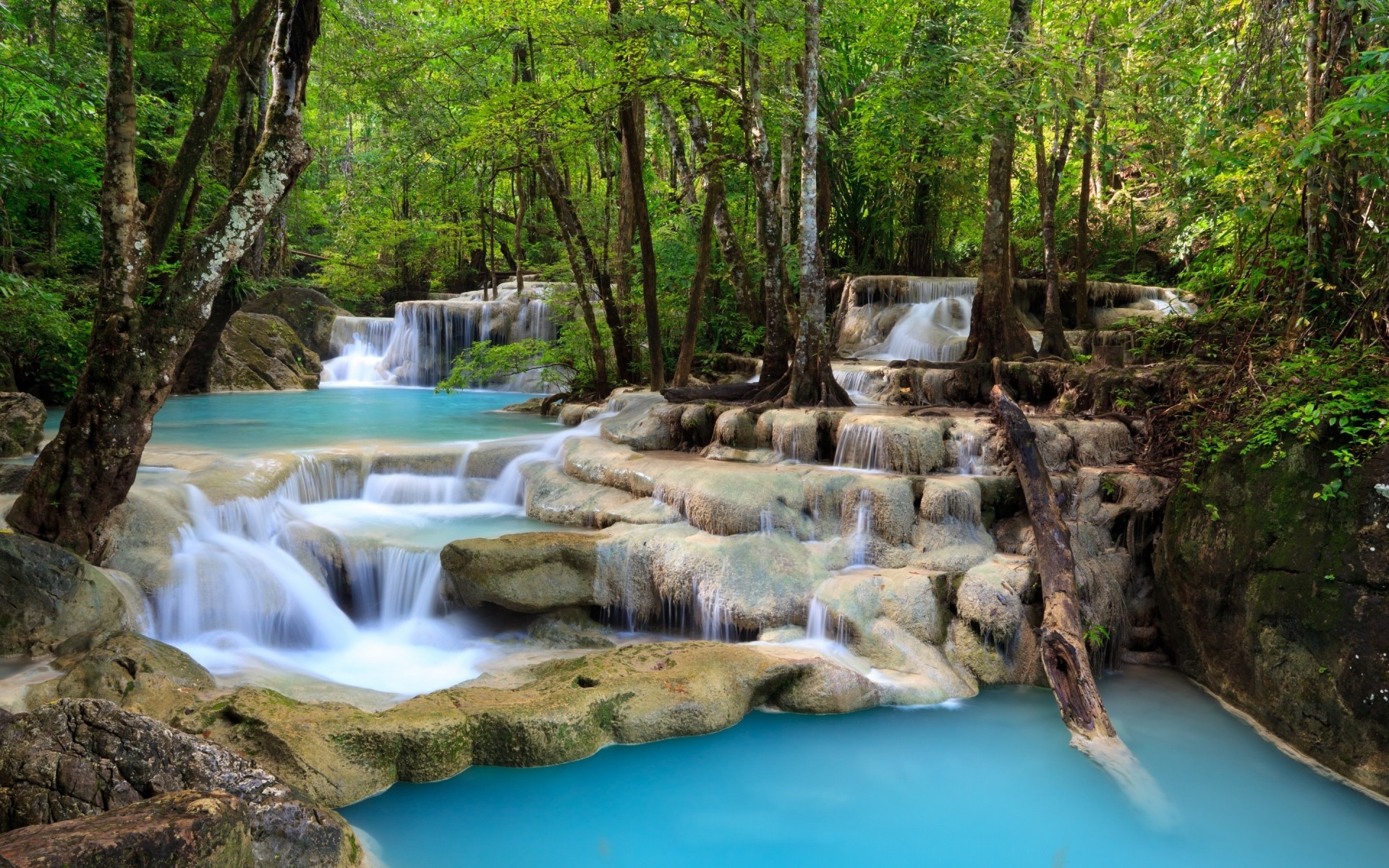 paisaje agua madera cascada naturaleza corriente río creek viajes hoja cascada roca salvaje paisaje corriente árbol al aire libre medio ambiente tráfico verano bosque