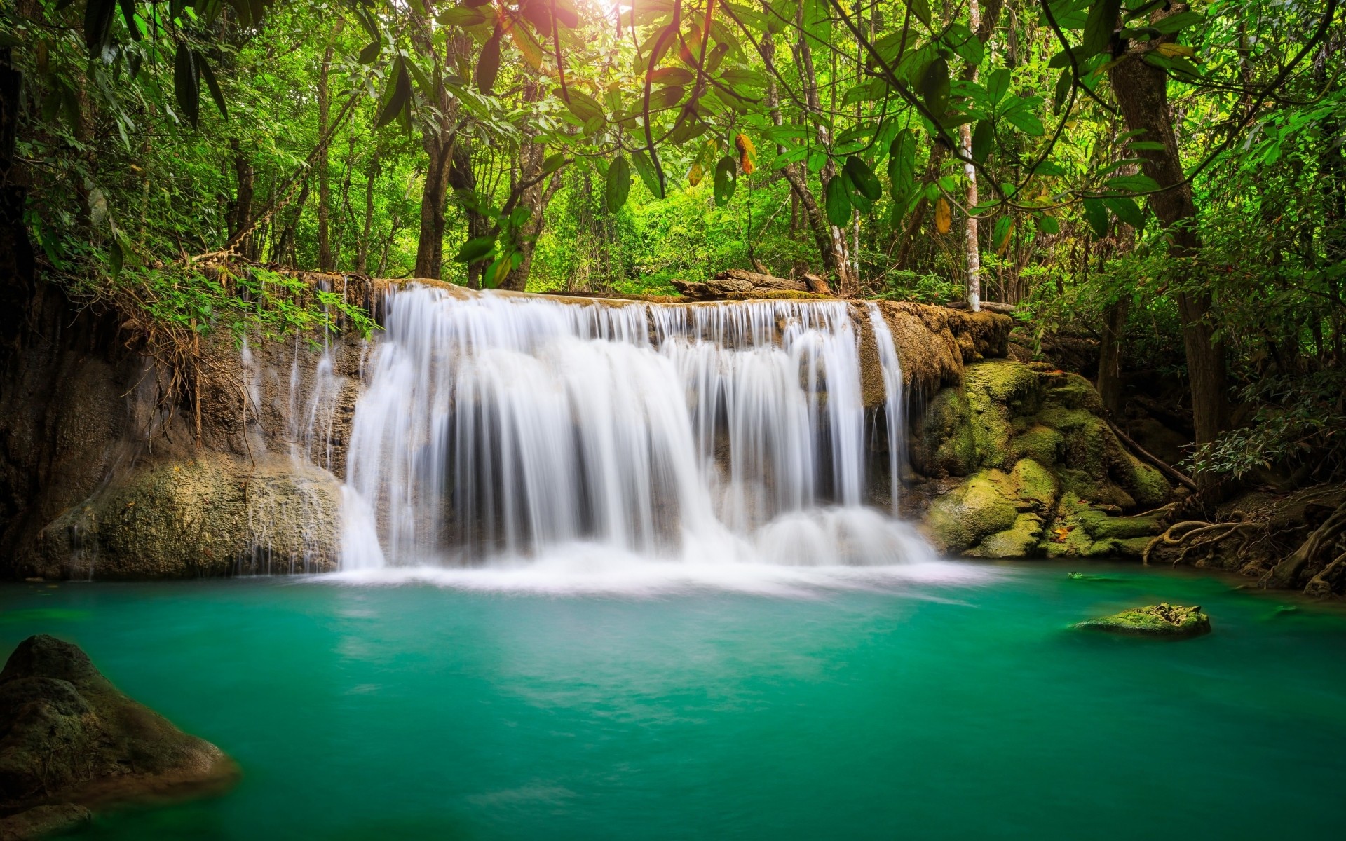 paisaje agua cascada naturaleza madera corriente río hoja roca cascada movimiento corriente limpieza al aire libre viajes tropical mojado otoño grito salvaje bosque paisaje