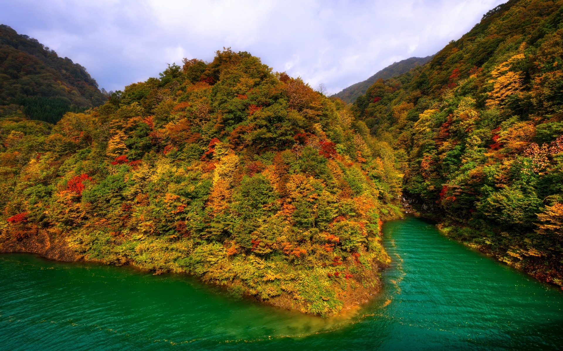 景观 水 旅游 自然 景观 岛 热带 户外 海 树 山 木 风景 田园诗 森林 河