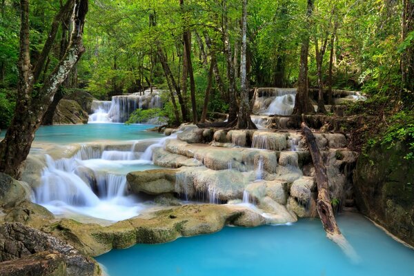 Лісовий водоспад зі ступінчастою структурою