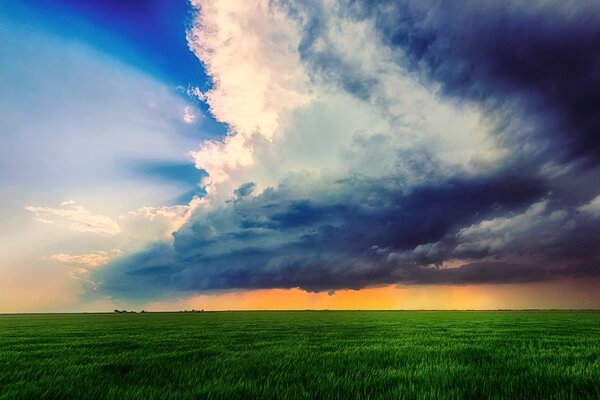 In a rural field, nature and grass