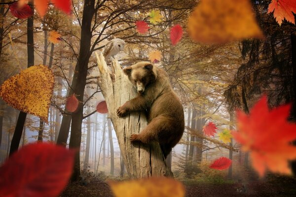 Autumn mood with forest animals