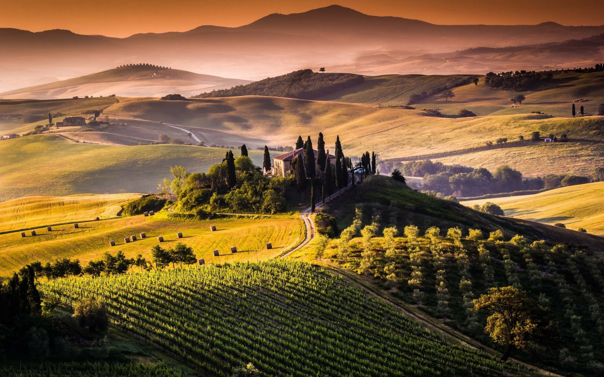 italie agriculture vignoble terres cultivées paysage voyage en plein air vigne colline vallée coucher de soleil campagne nature ciel ferme pittoresque rural champ arbre soirée toscane toscane