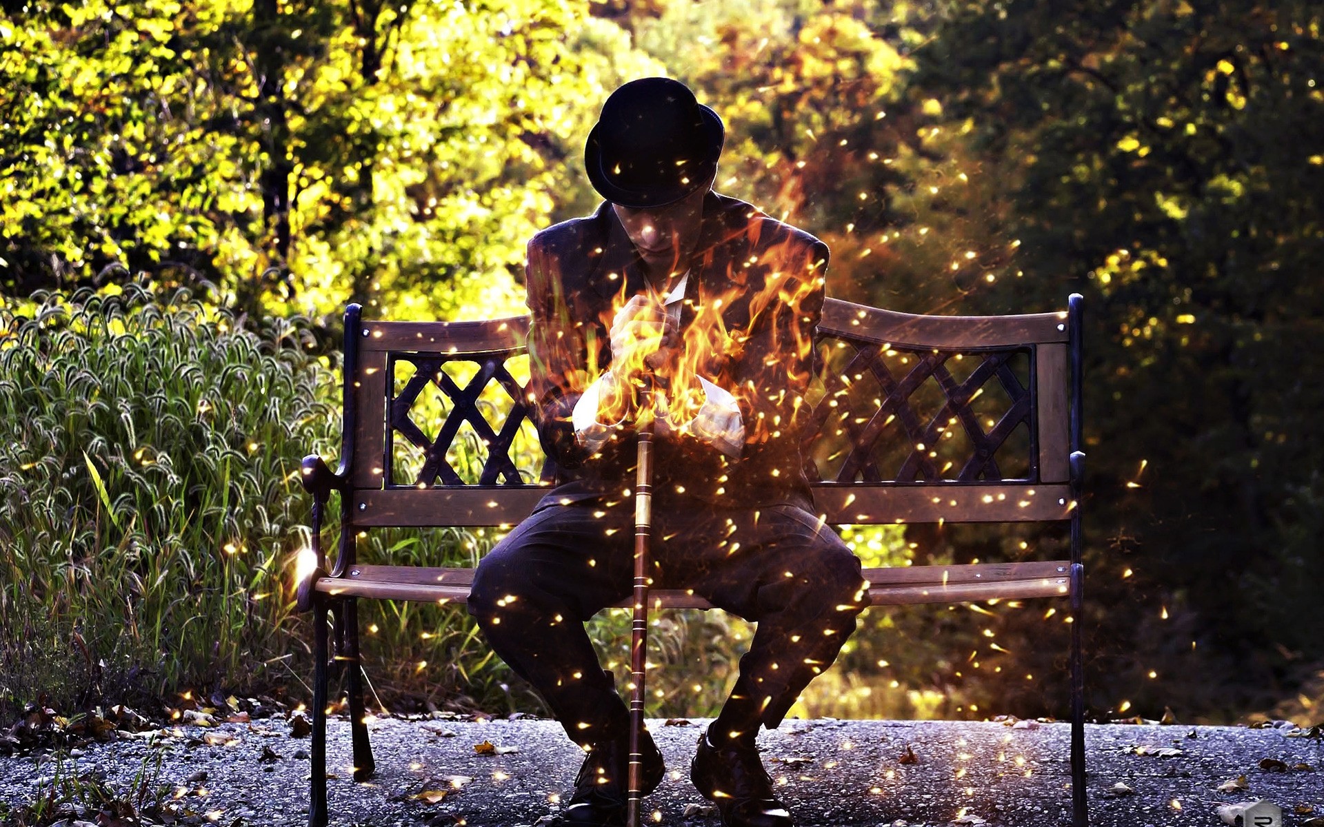 photo manipulation one man adult bench outdoors tree wood fire