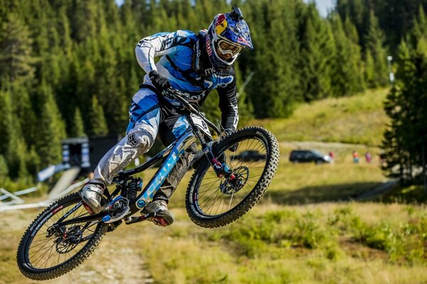 Bike jump in the summer in the forest