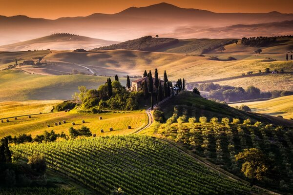 The landscape of a cozy Italian estate surrounded by vineyards