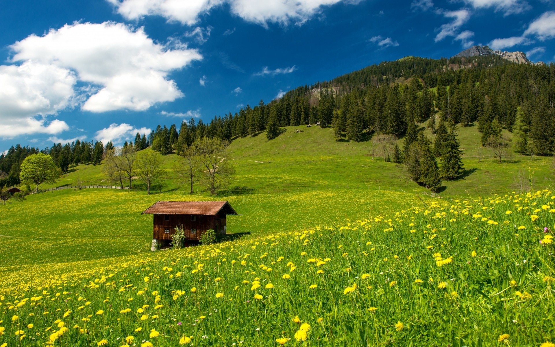 germania paesaggio fieno natura montagna erba estate legno scenico campo all aperto rurale cielo albero pascolo paese spettacolo pascolo idillio viaggi montagna colline