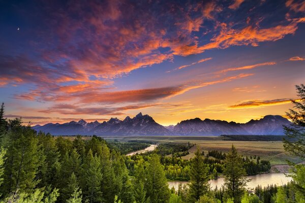 Beautiful landscape with forest and mountains