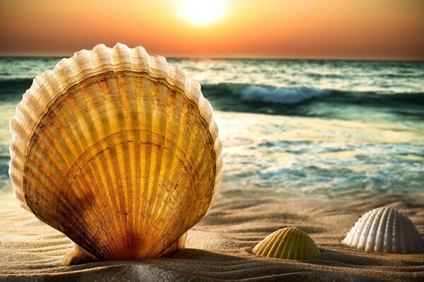 Sunset on the beach, ocean view