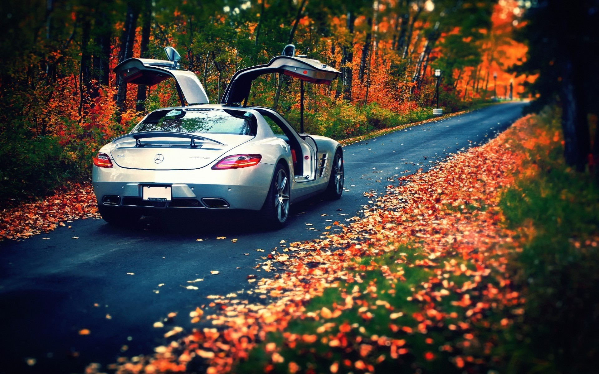 mercedes-benz auto fahrzeug transportsystem im freien straße reisen natur unschärfe herbst baum mercedes sls