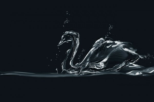 Splash d eau comme une silhouette de cygne