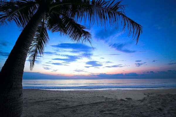 Paisaje, playa del mar, arena