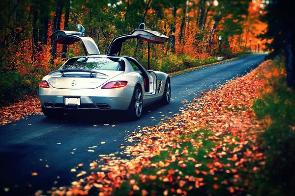 Mercedes Benz sur une route d automne parsemée de feuillage