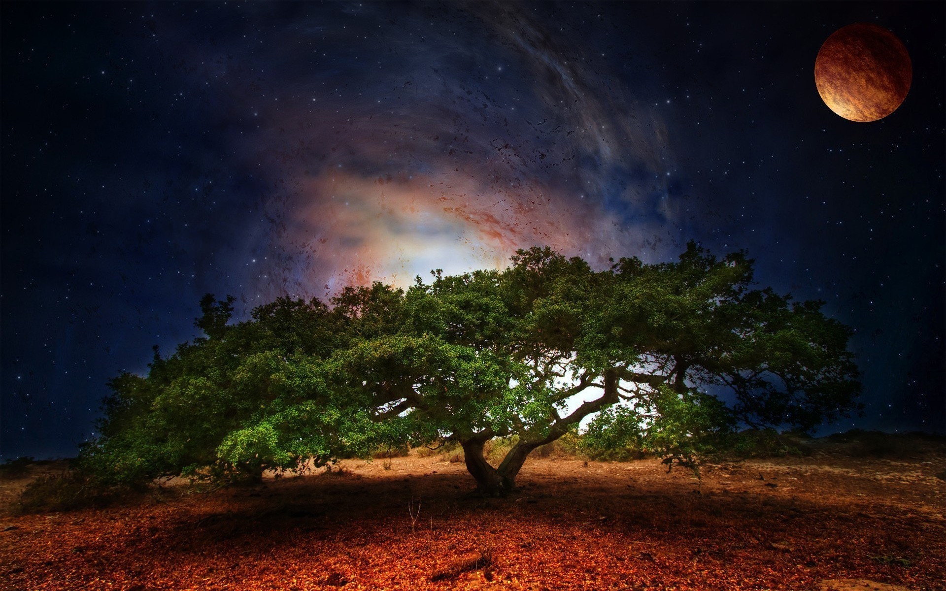 piante luna cielo astronomia sole sera natura albero paesaggio tramonto crepuscolo alba pianeta spazio all aperto viaggi luce galassia bel tempo scuro sfondo