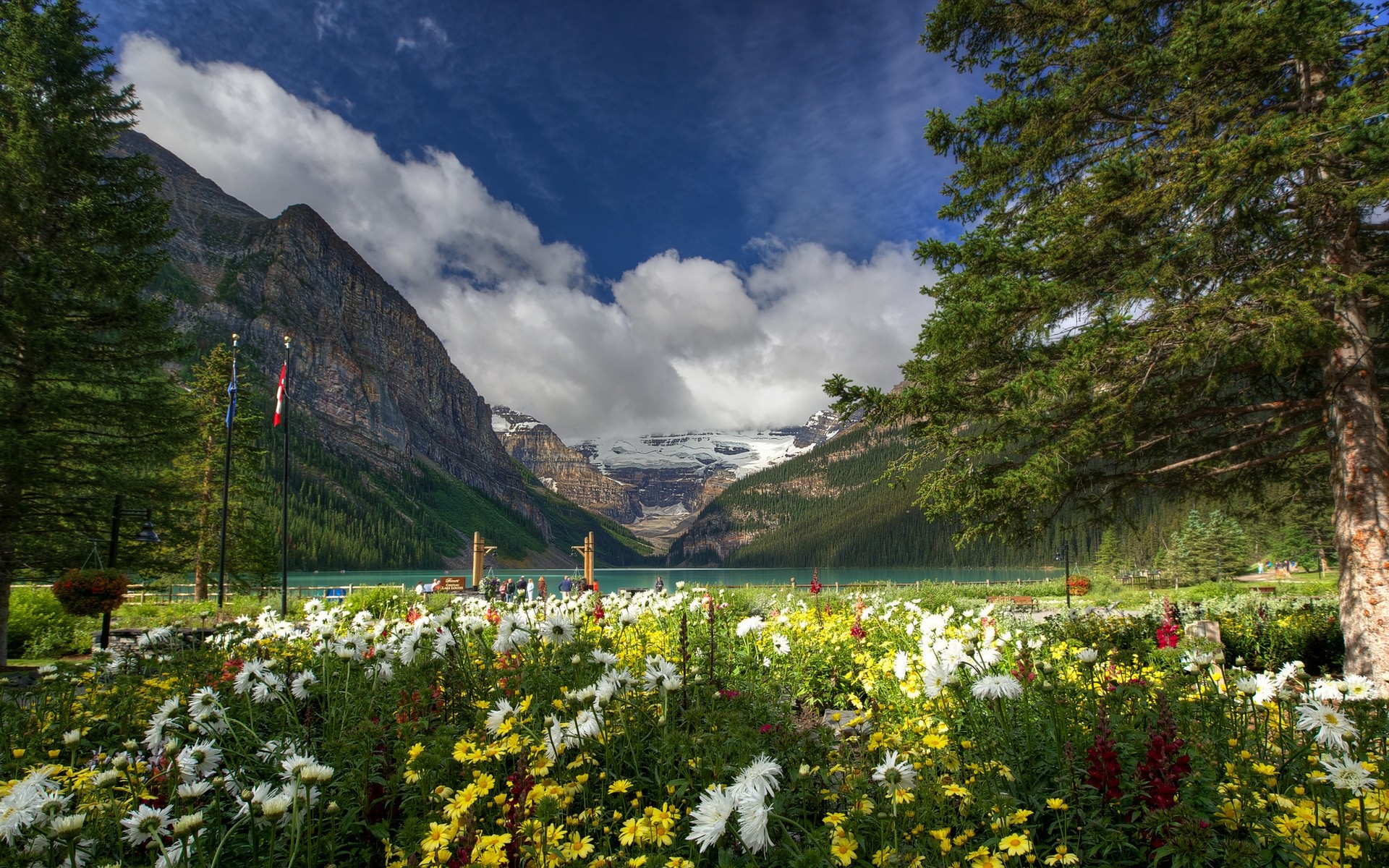 other city nature outdoors mountain landscape travel flower summer scenic wood grass sky tree daylight canada landscape background lake louise