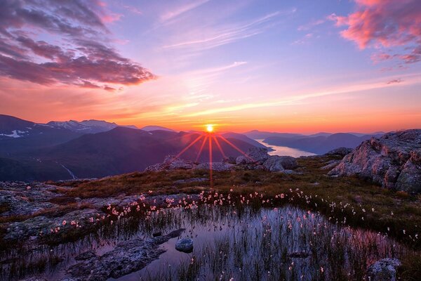 Paesaggio di montagna fiori al tramonto