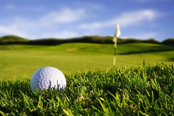 A golf ball on the green grass