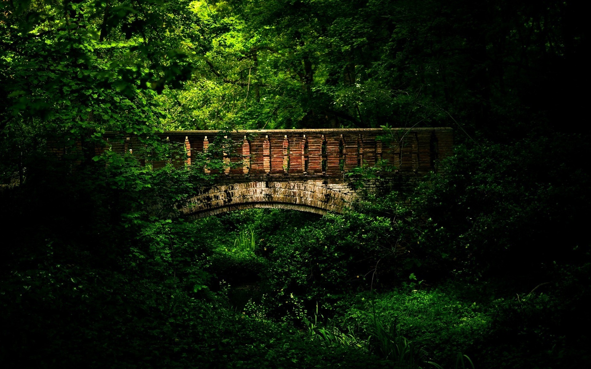 españa madera puente paisaje árbol hoja naturaleza viejo al aire libre luz del día parque cerca madrid bosque