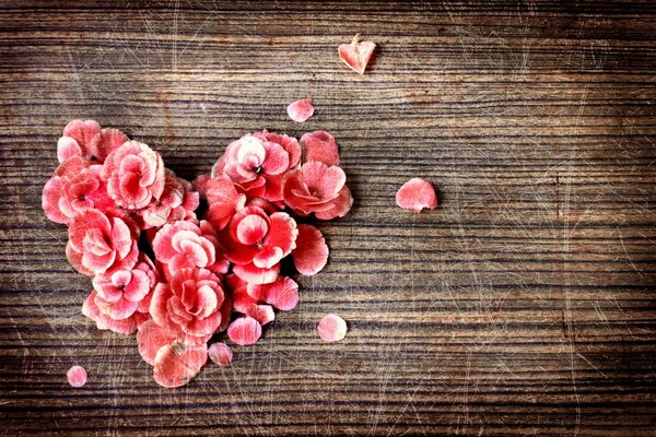 Red flowers on a wooden table