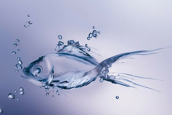 Transparent fish in the water with bubbles