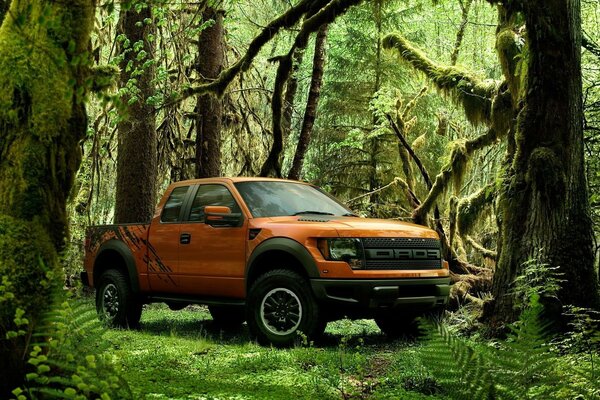 Voyages. Test de conduite hors route dans la forêt