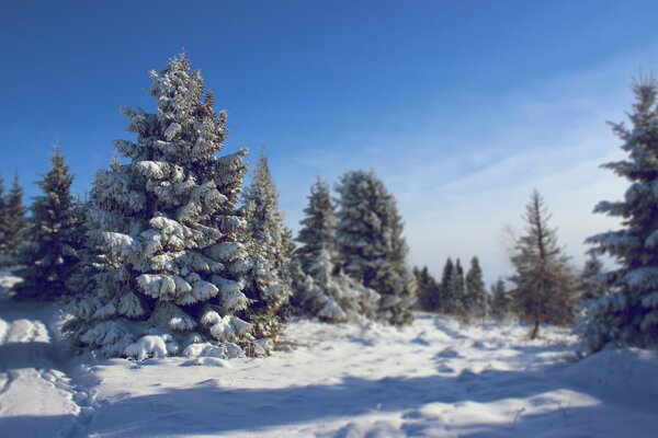 Frostiger und verschneiter Winter