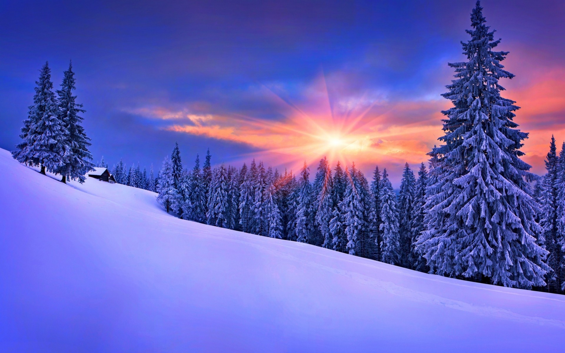Late Winter Sunset - Android wallpapers