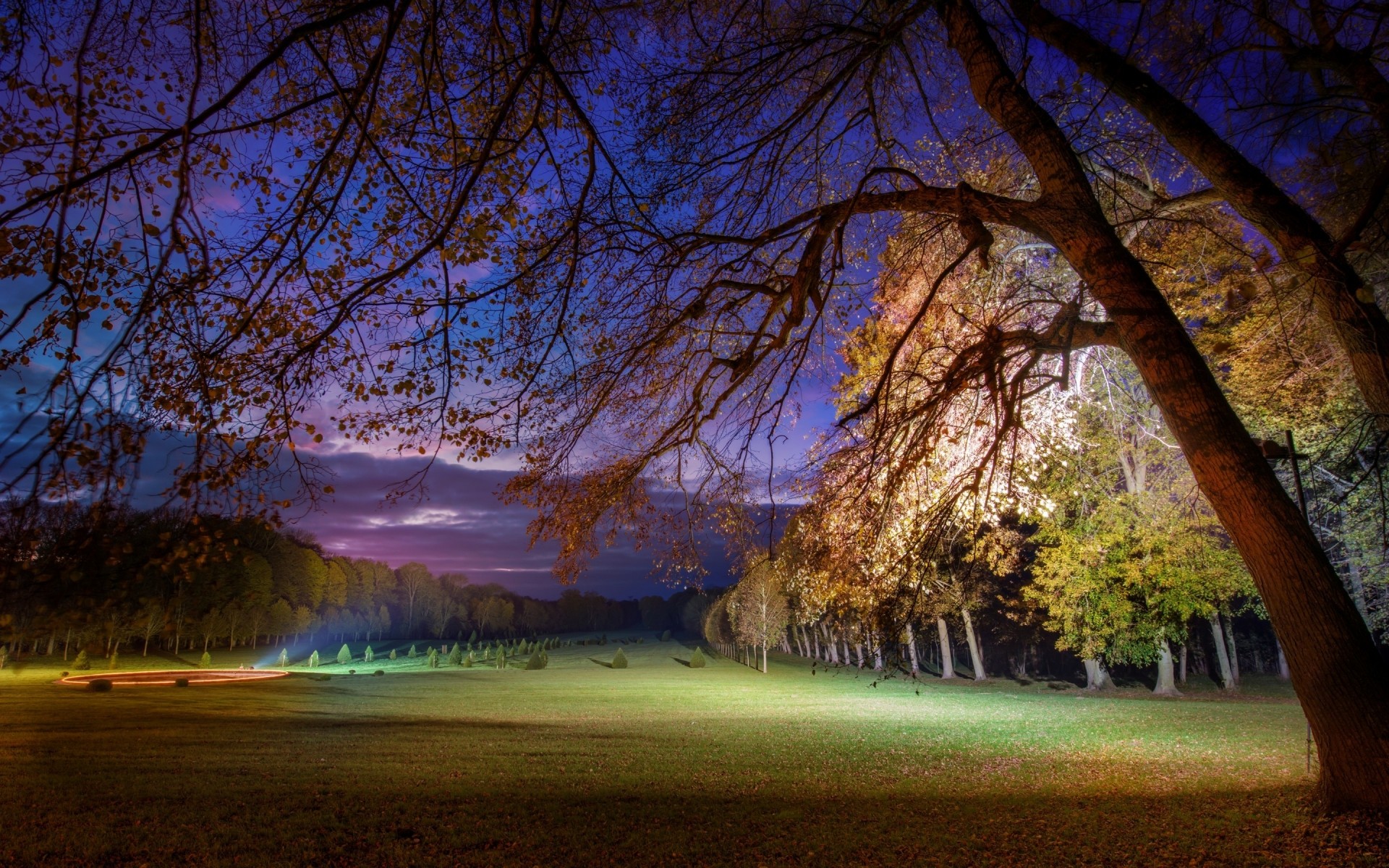 paysage arbre paysage automne parc nature aube bois scénique lumière feuille saison branche beau temps à l extérieur soleil soir drch forêt arbres