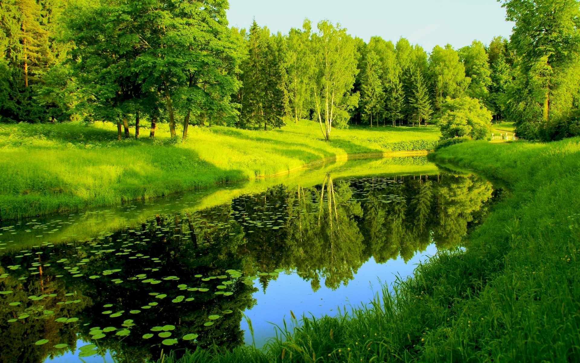 landscapes landscape tree nature grass wood outdoors scenic summer rural countryside daylight hayfield idyllic environment leaf water park forest lake