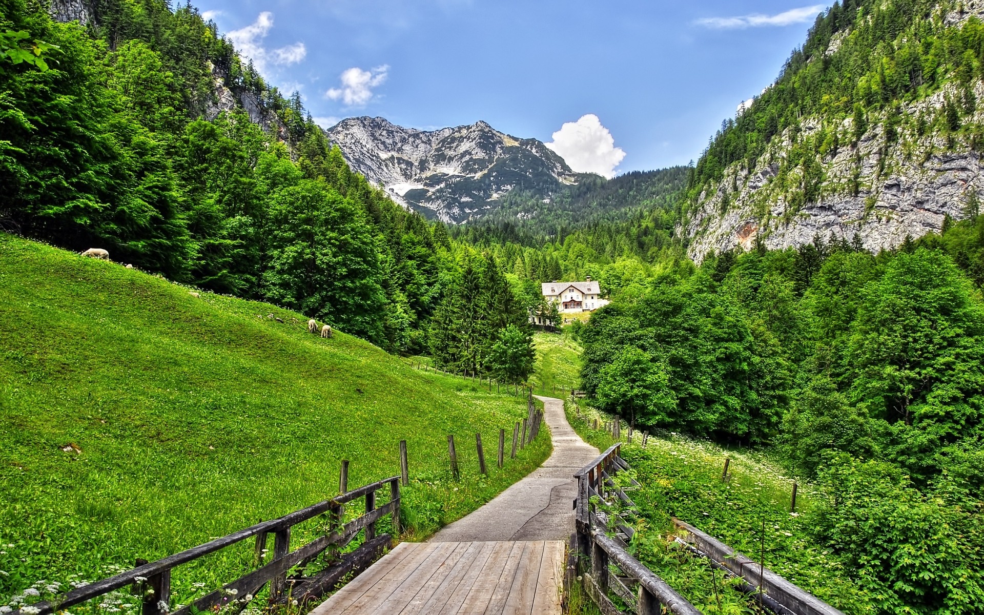 landschaft natur holz berg landschaft reisen baum sommer im freien landschaftlich gras himmel hügel guide spektakel landschaft tal ländlich straße gutes wetter berge