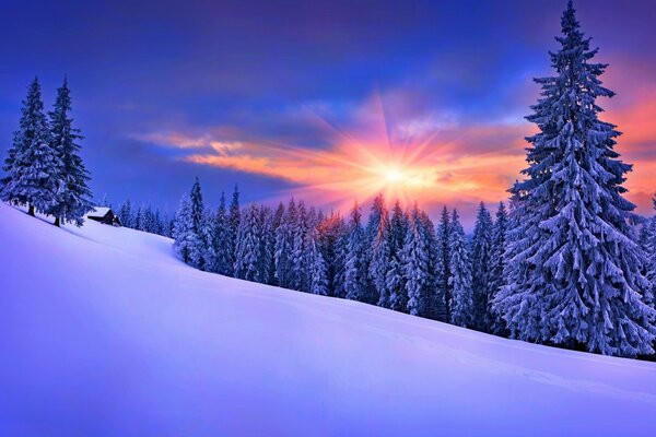 Winter frosty landscape of nature