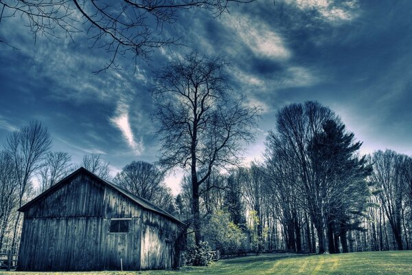 Landschaft Schuppen im Wald