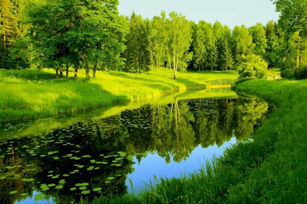 Der See und das helle Grün des Laubs