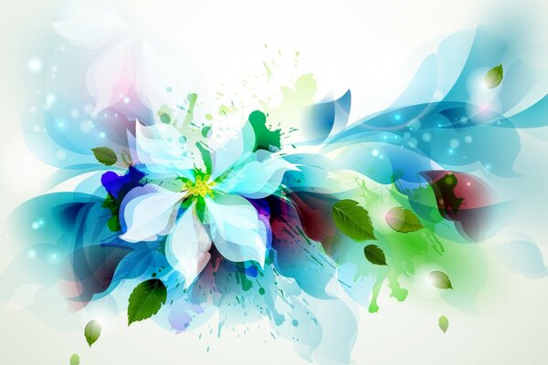 Multicolored flower on a white background