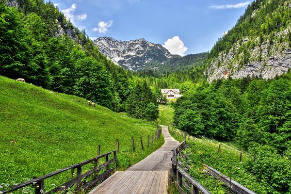 Dağ manzarası, doğa, ahşap yol