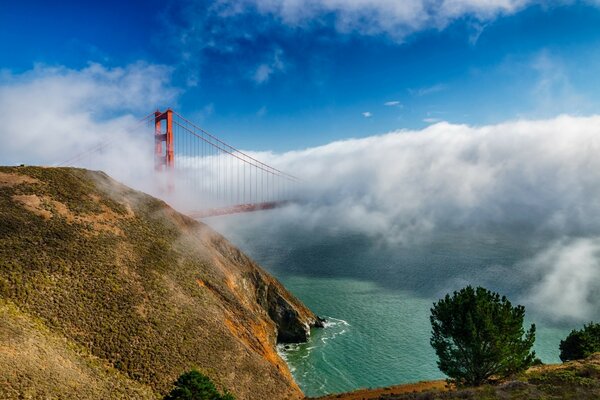 USA Berge Meer Brücke