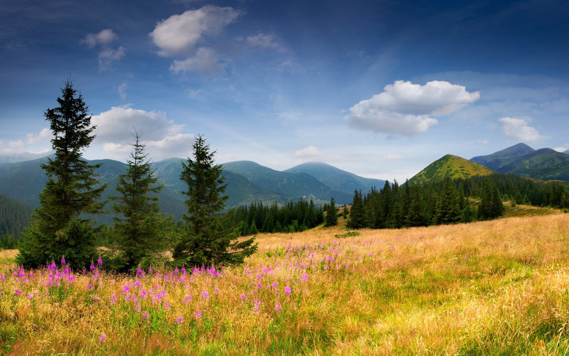 sport krajobraz natura góry lato trawa drewno na zewnątrz niebo podróże drzewo malownicze sianokosy śnieg kwiat las drzewa