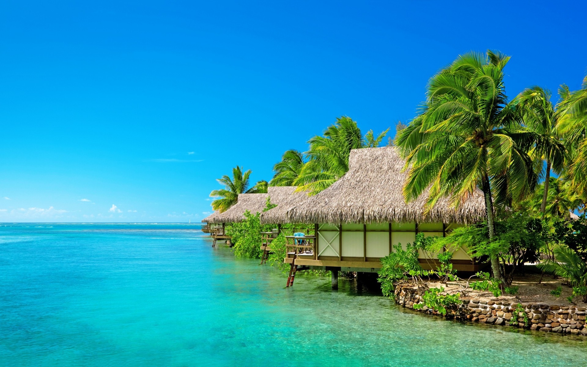 paysage tropical plage île exotique paradis palmiers eau voyage été sable mer station balnéaire océan vacances idyllique turquoise détente noix de coco lagon paysage paysage mer palmiers