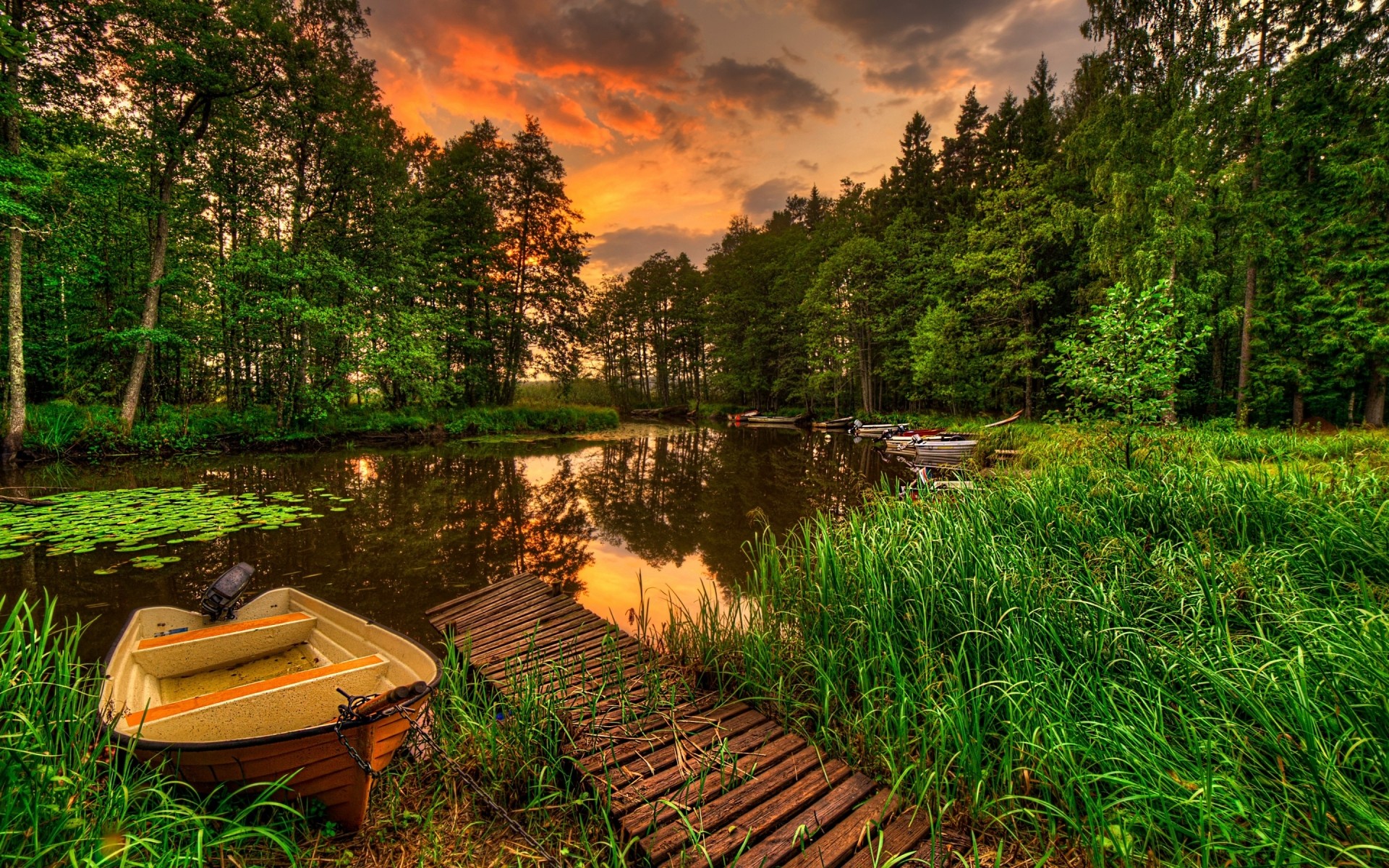 landscapes water landscape travel outdoors nature grass wood summer tree river dawn lake garden leaf hdr sunset forest