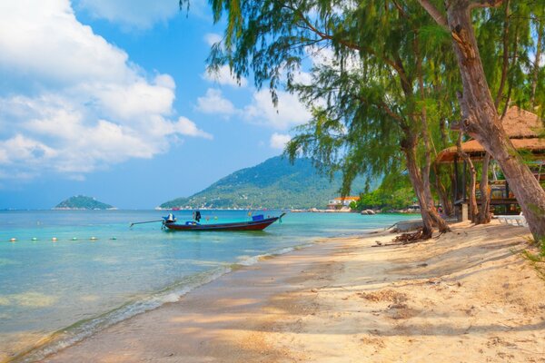 Sandy beach with clear sea